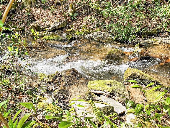 3rd image of 2562 Brush Creek Rd Lot Tr 5