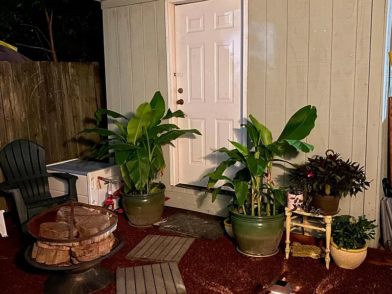 Storage shed in the backyard