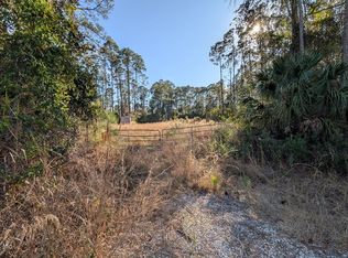 113 White Pine Ln, Georgetown, FL 32139