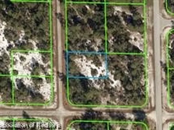 1045 Iguana St, Lake Placid, FL 33852