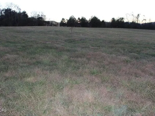 1517 Towe String Rd, Jacksboro, TN 37757