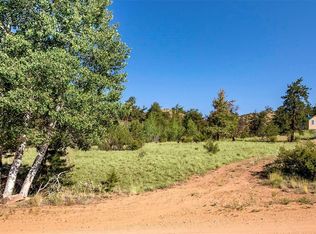 245 Pine Ln, Hartsel, CO 80449