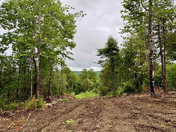 4th image of Lot 13 Mt. Jefferson Heights