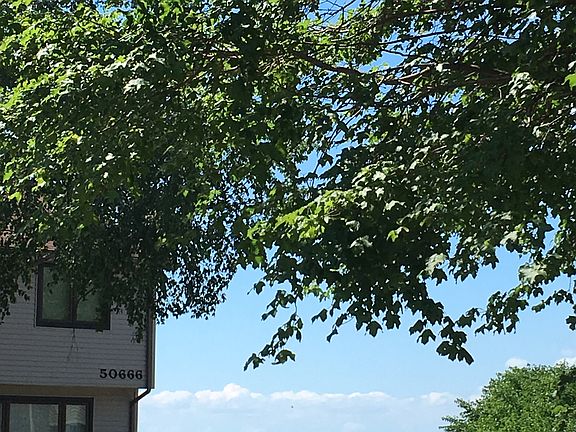 VIEW FROM DECK