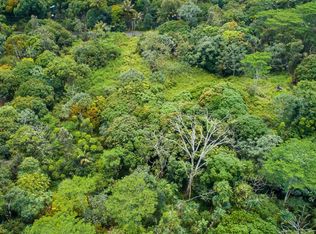 14th Avenue Laamia, Keaau, HI 96749