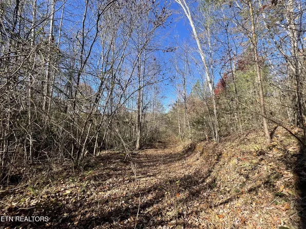 567 Beatys Chapel Rd, Tellico Plains, TN 37385