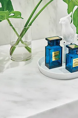 Rented by Aviram Garma, LREB | media 42