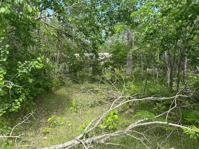 2040 Hill Rd, Lewiston, MI, 49756