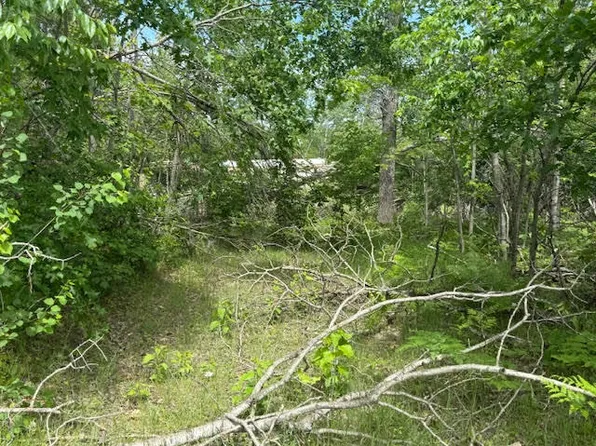 2040 Hill Rd, Lewiston, MI 49756