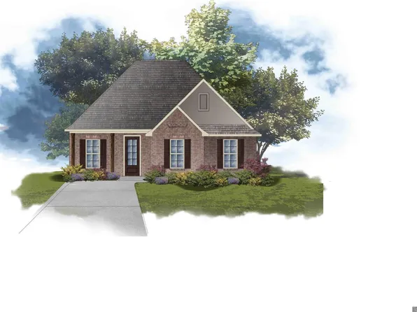 41321 Marsh Ln, Gonzales, LA 70737