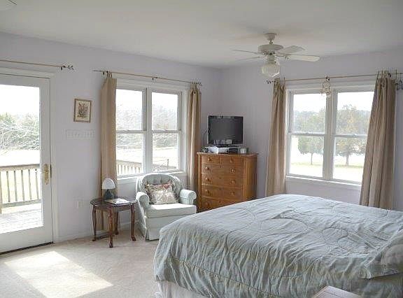 4th image of 270 Beagle Ln