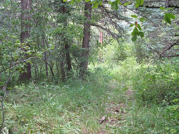 4th image of 170 Beaver Dr