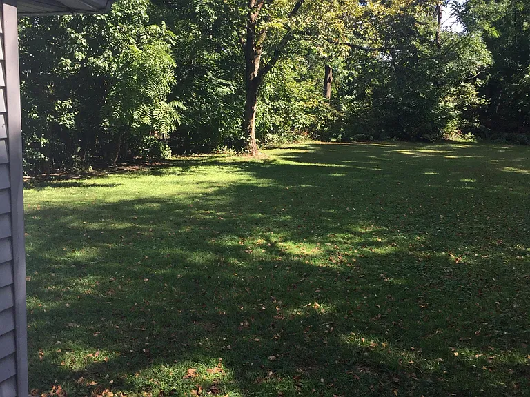 Maple Ave — Photo 8