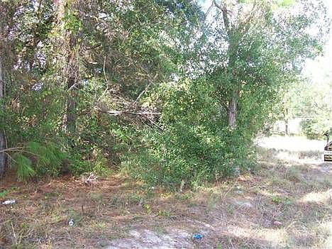 2nd image of 8885 104th Ct