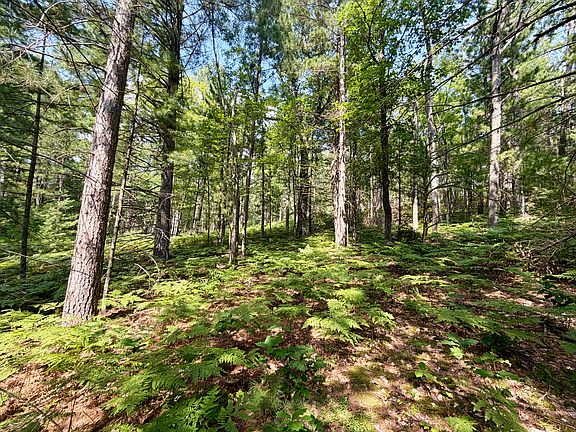 3rd image of Nature Ridge Trl
