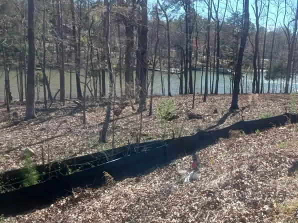 1061 Refuge Pl #30, Chapin, SC 29036