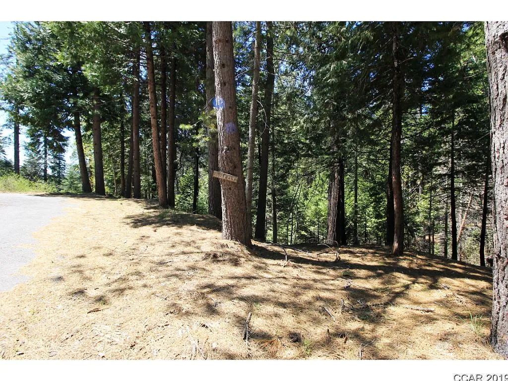 1911 Del Paso Ln photo 1