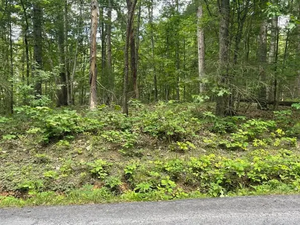 103 Pin Oak Ln, Mount Jackson, VA 22842