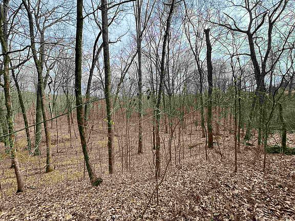4th image of 1790 County Road 235