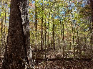 0 Owl Hollow Rd LOT 6, Palmer, TN 37365