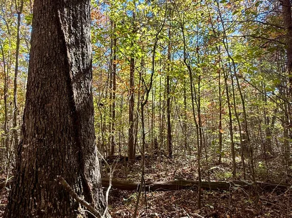 0 Owl Hollow Rd Lot 6, Palmer, TN 37365