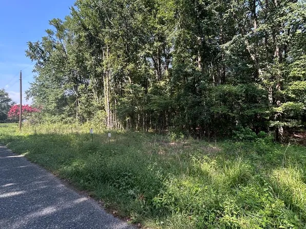 Chesterville Forest Rd Parcel 84A, Millington, MD 21651