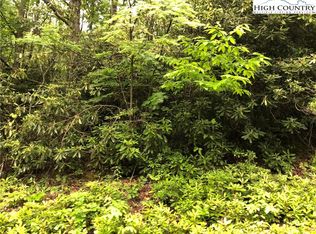 Tbd Gumtree Rd, Beech Mountain, NC 28604