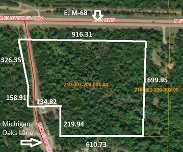 Michigan Oaks Ln, Indian River, MI, 49749