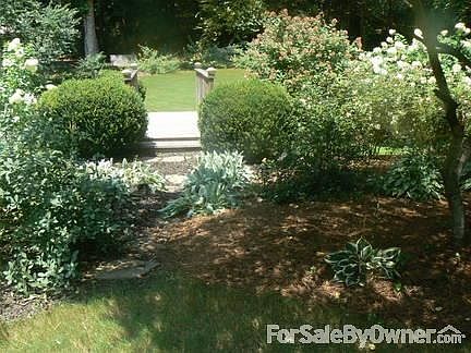 this backyard is great for children