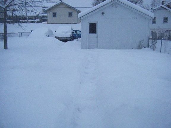 Back of House