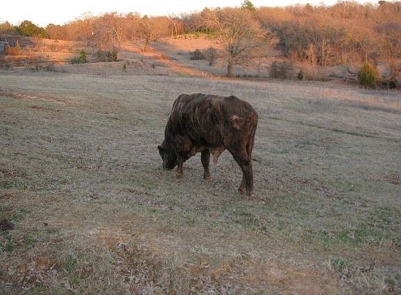 2nd image of 830 An County Road 410