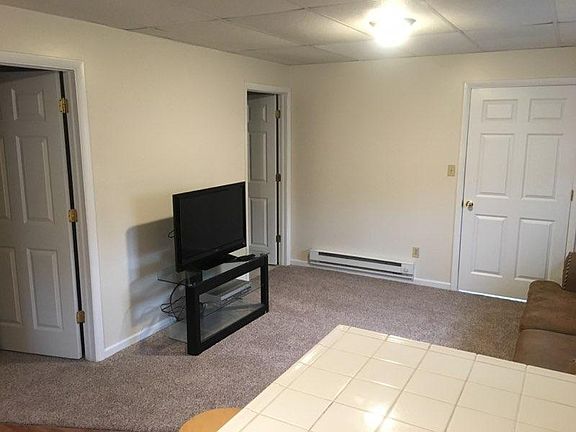 Living room includes couch and tv with tv stand