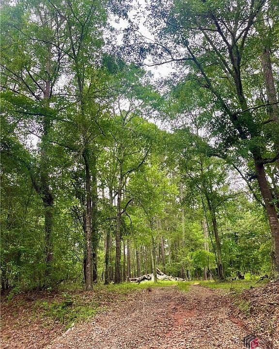2nd image of 254 Gober Road