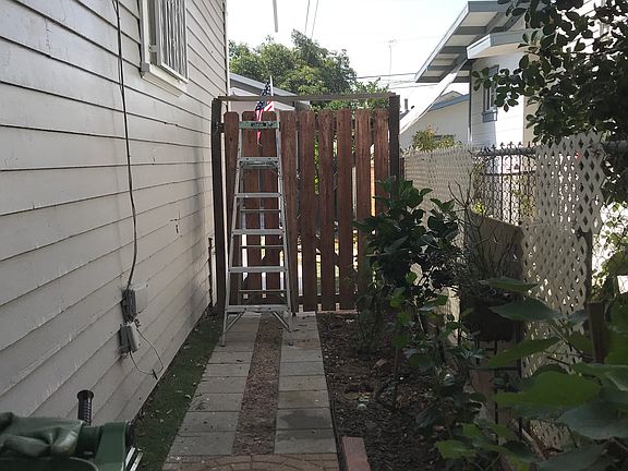 Seven ?? trees planted 2yrs 