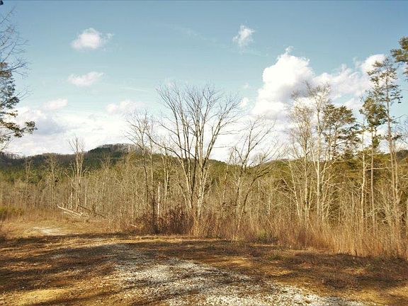 5th image of 341 County Road 481
