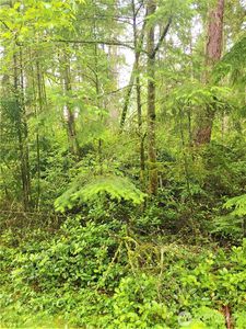 9229 Kootenia Drive, Anderson Island, WA, 98303