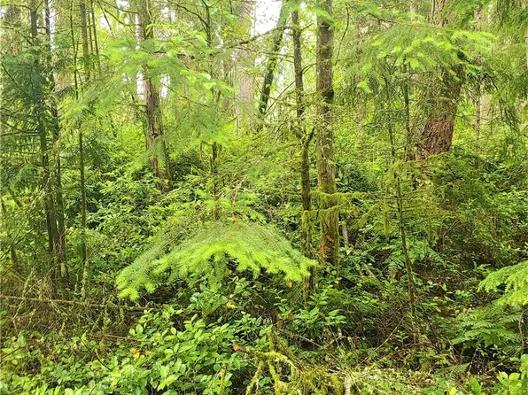 9229 Kootenia Drive, Anderson Island, WA 98303