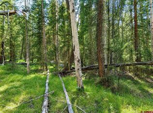 445 Aspen Trail, Cimarron, CO 81220