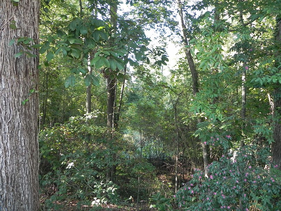 1st image of 523 Forest Hill Dr