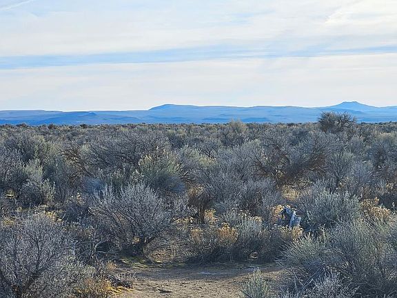 5th image of Fossil Lake Rd #Tl-1200