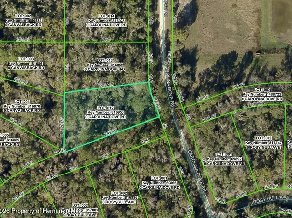LOT 12 Carolina Dove Rd, Brooksville, FL 34614