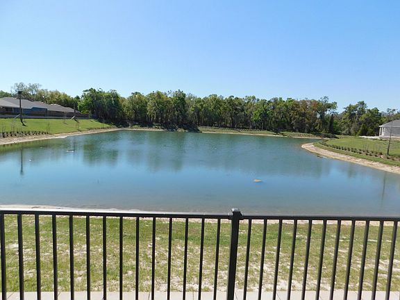 back yard view