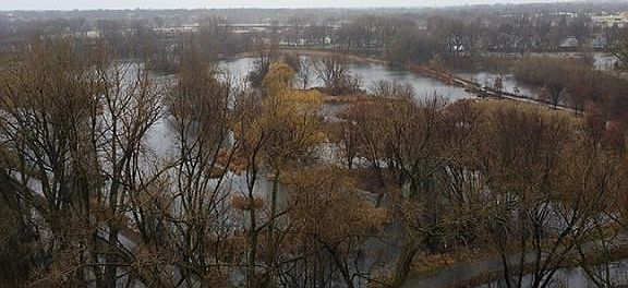 Look at the Water and Wildlife From your Living Room