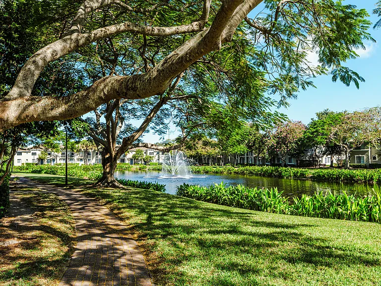 Local landscape and water features