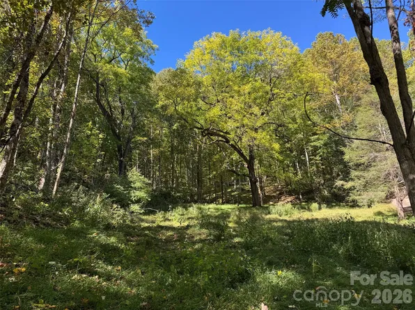 18 Silverbell Ln, Waynesville, NC 28786