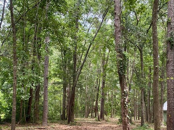 2nd image of LOT 12 Charles Samuel Dr