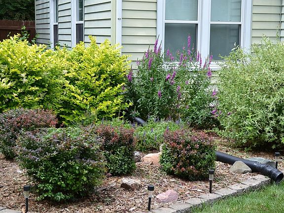 Beautiful Landscaping