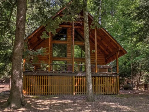 343 Muller Ln, Ellijay, GA 30540