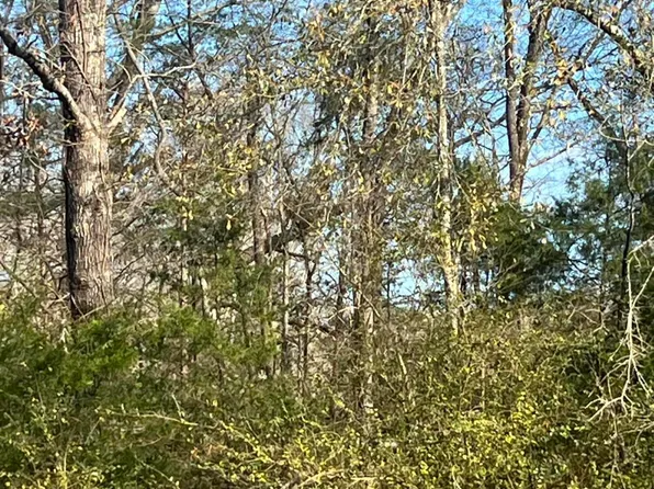 0 Adams Station Rd, Utica, MS 39175