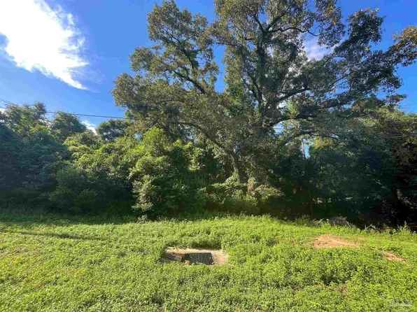 LOT 2 Mart Jernigan Rd, Jay, FL 32565